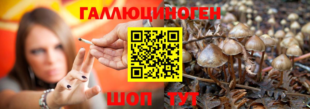 Псилоцибиновые грибы Magic Shrooms Новотроицк
